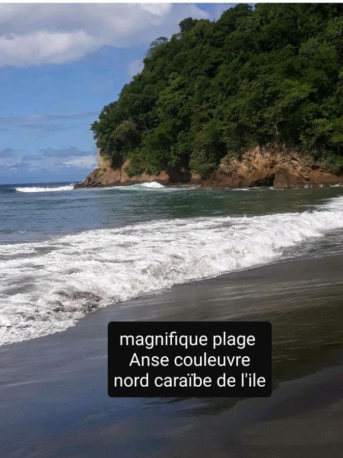 A La Montagne Apartment Le Morne-Vert Luaran gambar