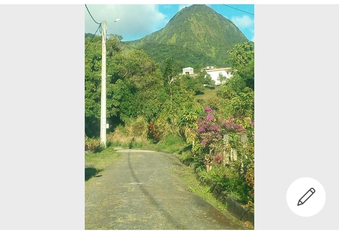 A La Montagne Apartment Le Morne-Vert Luaran gambar
