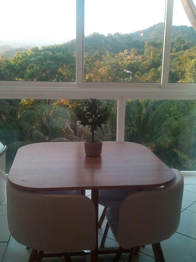 A La Montagne Apartment Le Morne-Vert Luaran gambar