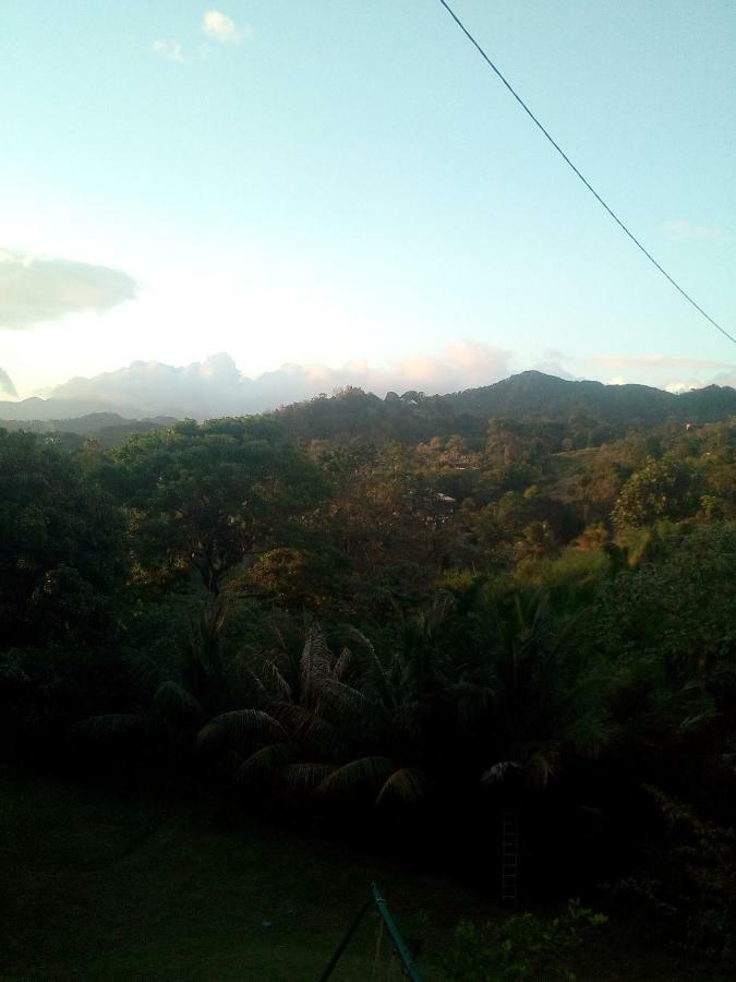 A La Montagne Apartment Le Morne-Vert Luaran gambar
